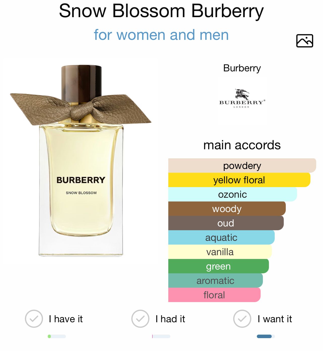 BURBERRY SNOW BLOSSOM