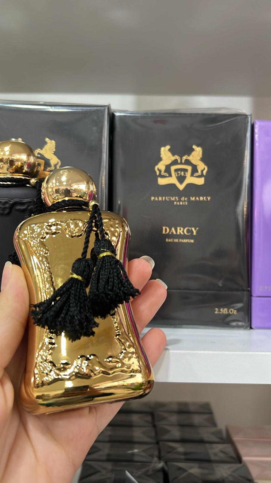 Darcy from de marly edp